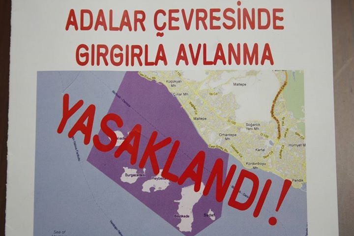 Adalar bölgesinde gırgır teknelerinin avlanması yasak.