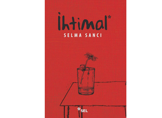 Kararlı bir çabanın romanı