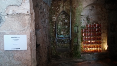 Ani Setyan, 'Koservasyon'