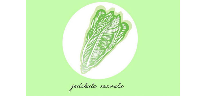 Yedikule Bostanları Marul Bayramı’nı bekliyor