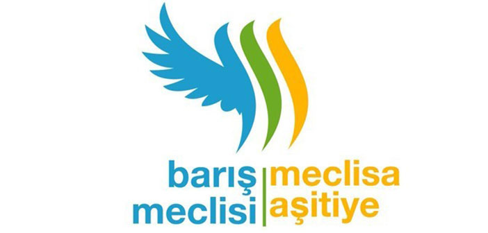 Türkiye Barış Meclisi: PKK silahlı eylemlere son vermeli