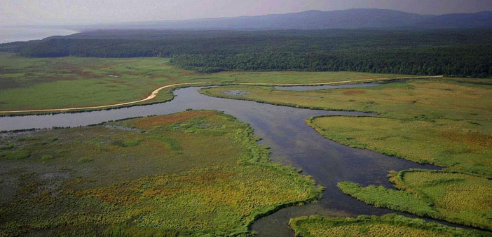 İğneada’ya nükleerde ‘mutabakat zaptı’ muamması