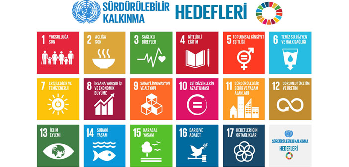 Şila Temizel BM'de Türkiye’yi temsil etti