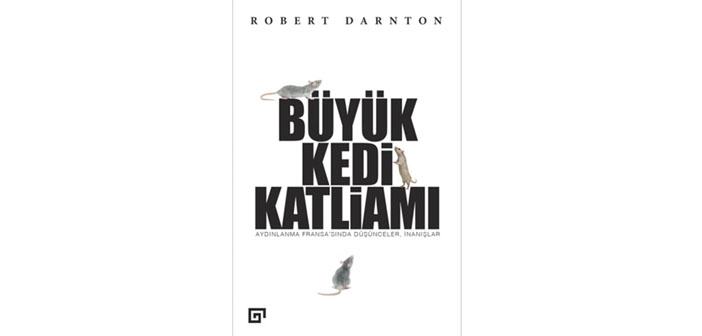 Kediye karşı şiddeti yorumlamak