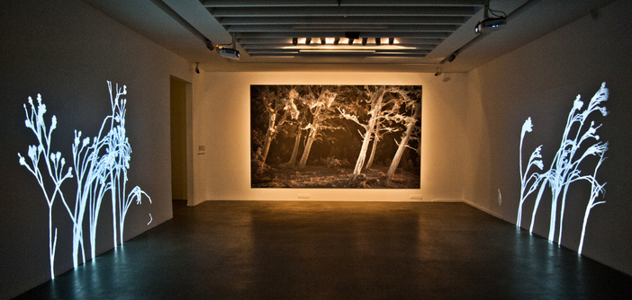 Hem organik, hem geometrik