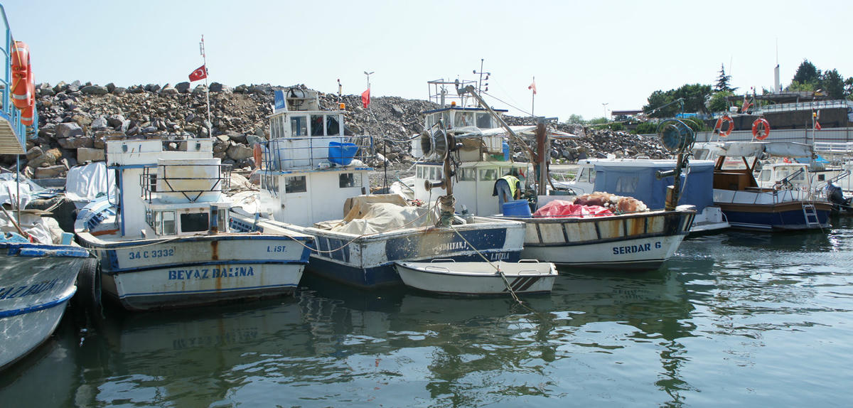 Balıkçı barınakları marina mı olacak?