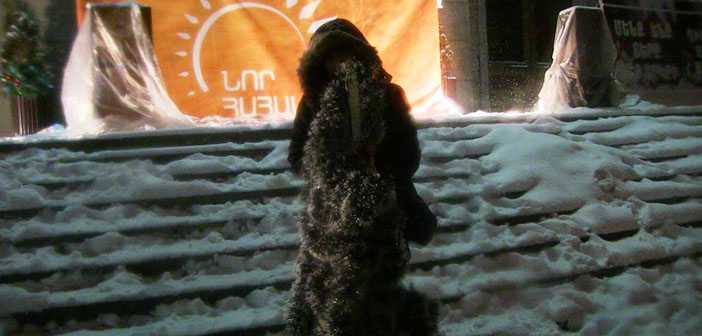 Yeni Ermenistan Hareketi, devleti ‘rahatsız etti’