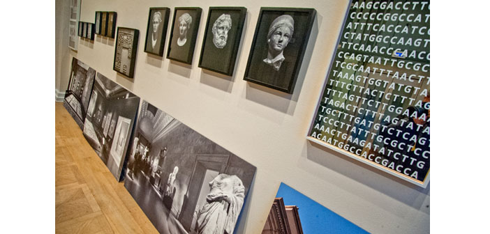 Bu serginin ‘kayısı’sı meşhur