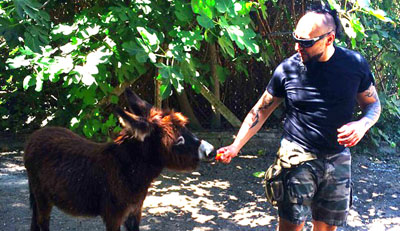 Hayko Cepkin ve Midas