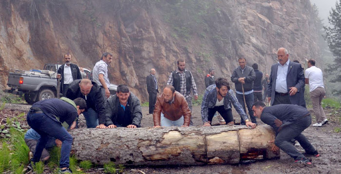 Başbakanlık: Cerattepe'deki inşaat hukuki süreç sonlanıncaya dek duracak