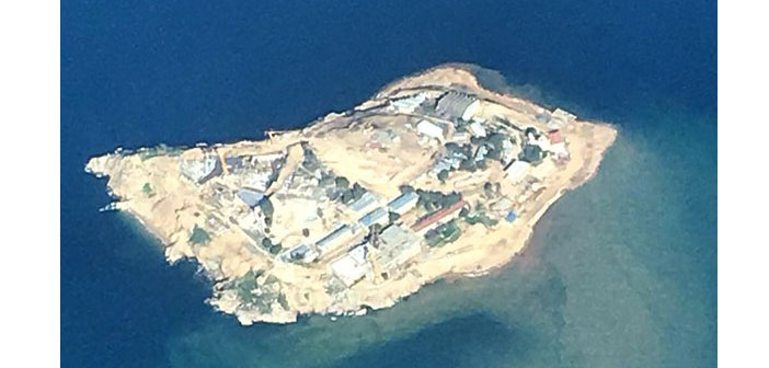 Yassıada'da tek ağaç kalmadı