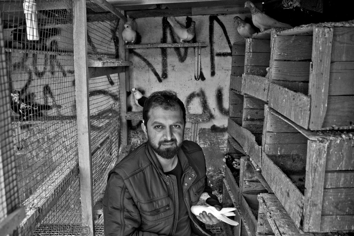 Samatya ve Kocamustafapaşa Kuş Severler Derneği Başkanı Arman Oruz