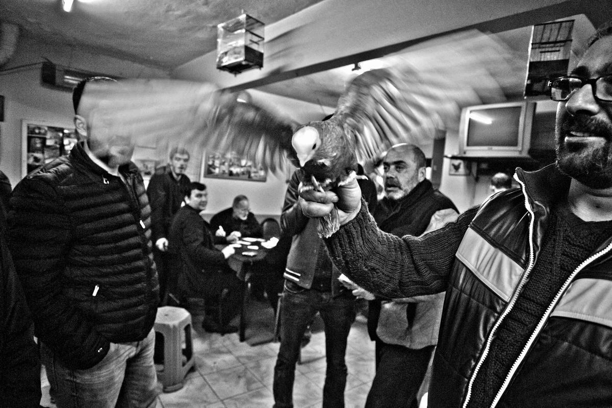 Derneğin üstadı Savaş Ağabey, “Bunlar kuşçulukla kurulmuş dostluklardır, yoksa sokakta görsen dönüp bakmazsın” diyor, Agop Ağabey’se “Ama her türlüsü de var, yavşağı da var affedersin, yok yok” diye ekliyor.