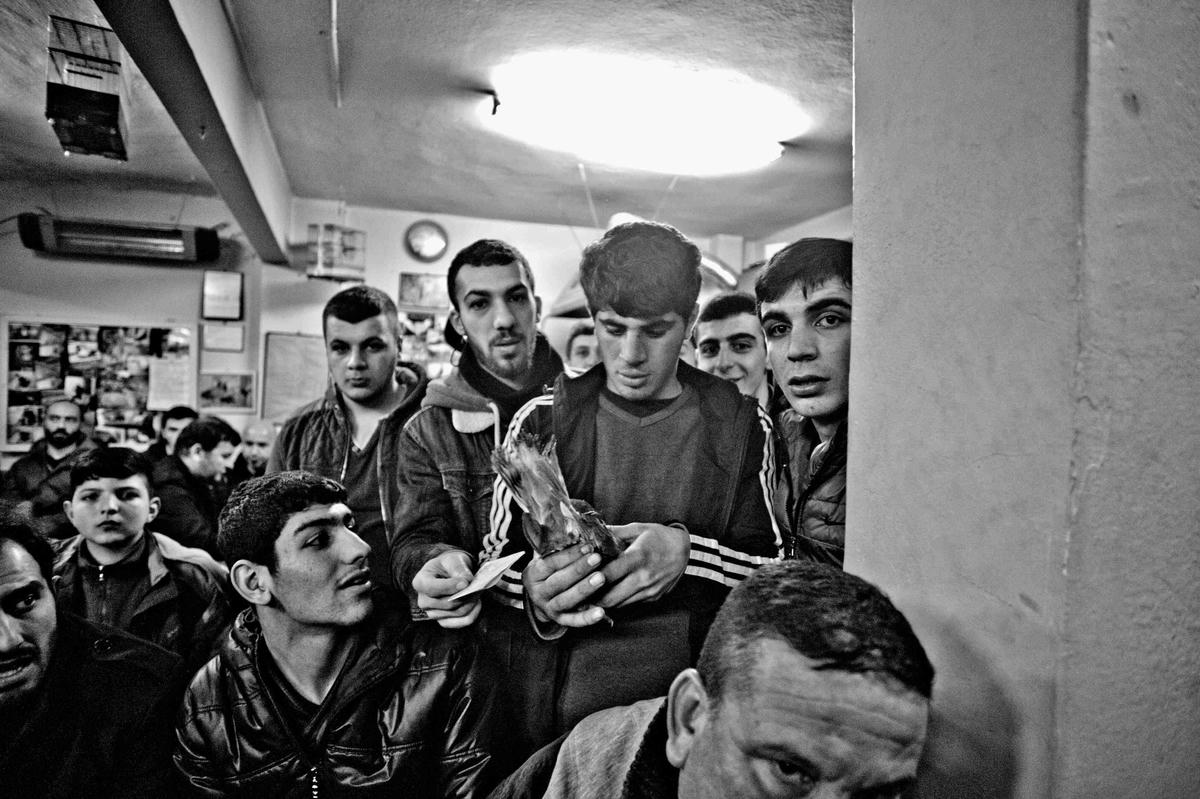 Kemal Ağabey, bu işin artık çocuğa düştüğünü söylüyor, özellikle de İstanbul’da, “Çok gençler… Çocuk haftalığını getiriyor bırakıyor mezatta, anlamıyor da, bilmiyor da…