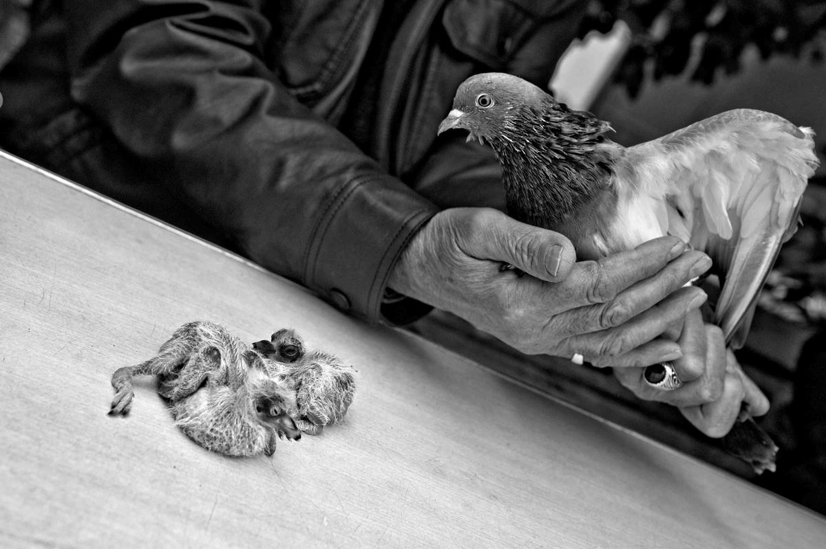 Sivaslı Padişah torunlarıyla beraber