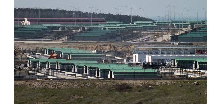 Hayvan hakları savunucuları: Sokak hayvanları nereye götürülüyor?