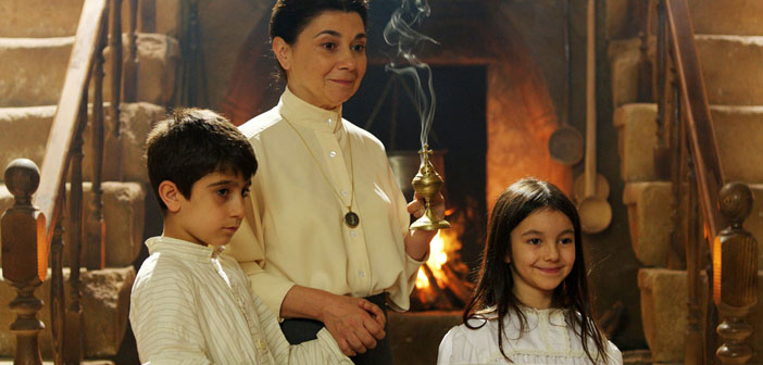 Sahi bu kuşlar neden yitti?