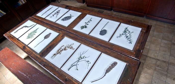 ‘Düşünce Bahçesi’nde gezinirken