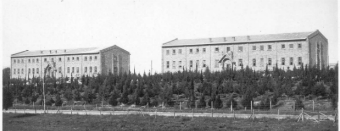 90 yıllık çınar Melkonian’ın akıbeti ne olacak?