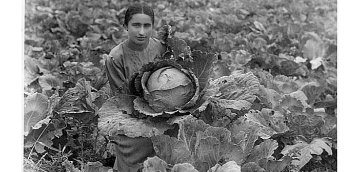 Dilican’ın sıradışı gözlemevi