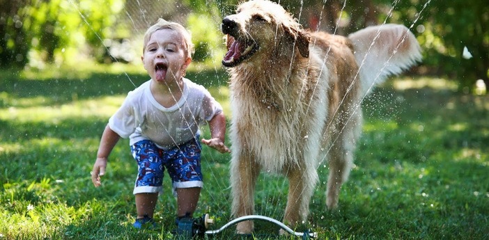Çocuk ve hayvan ilişkisi