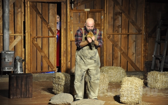 En iyi düşünülmüş planları boşa çıkanlar