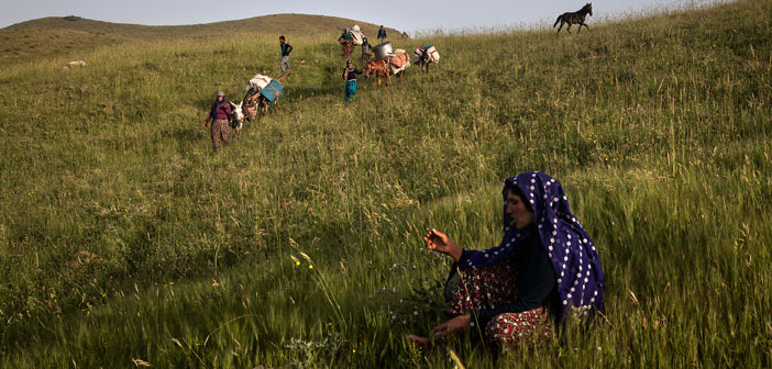 NarPhotos'tan foto-hikaye atölyesi