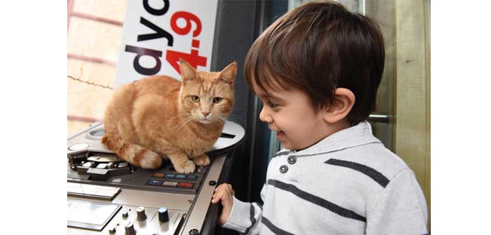 Açık Radyo'nun Dinleyici Destek Özel Yayını başlıyor