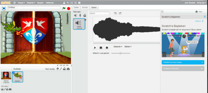 Scratch nedir, niçin kullanılır ?