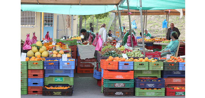 Güney Kıbrıs’tan Rum ve Ermeni genç çiftçilere destek