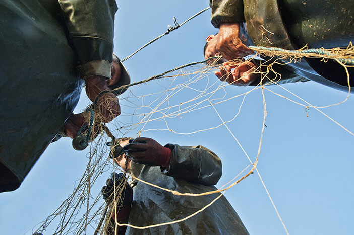 Fotoğraf: Berge Arabian