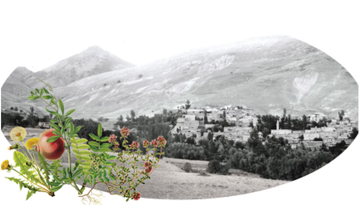 Պոլսոյ պատմիչը 90 տարեկան