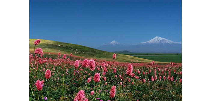 Համբարձման կախարդանքը