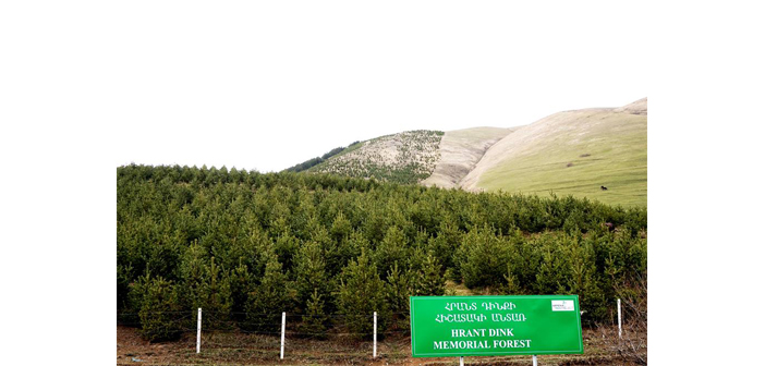 «Հրանդ Տինք» յիշատակի անտառ