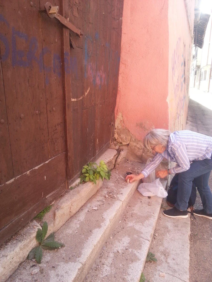 2019 gezisinden FOTO: Besse Kabak