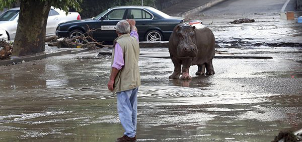 Քեզ ի՛նչ եղաւ, Թիֆլի՛ս