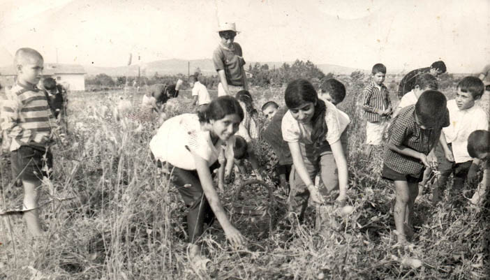 Ահազանգ, հասէ՛ք կը փլեն Քամփ Արմենը