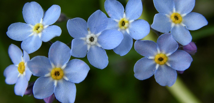 Ցեղասպանութիւնը ընդունող 28-րդ երկիրը՝ Պէլկիա