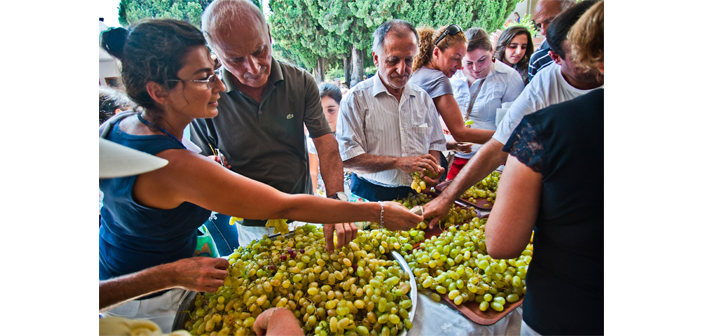 Խաղողօրհնէք-Աստուածածին