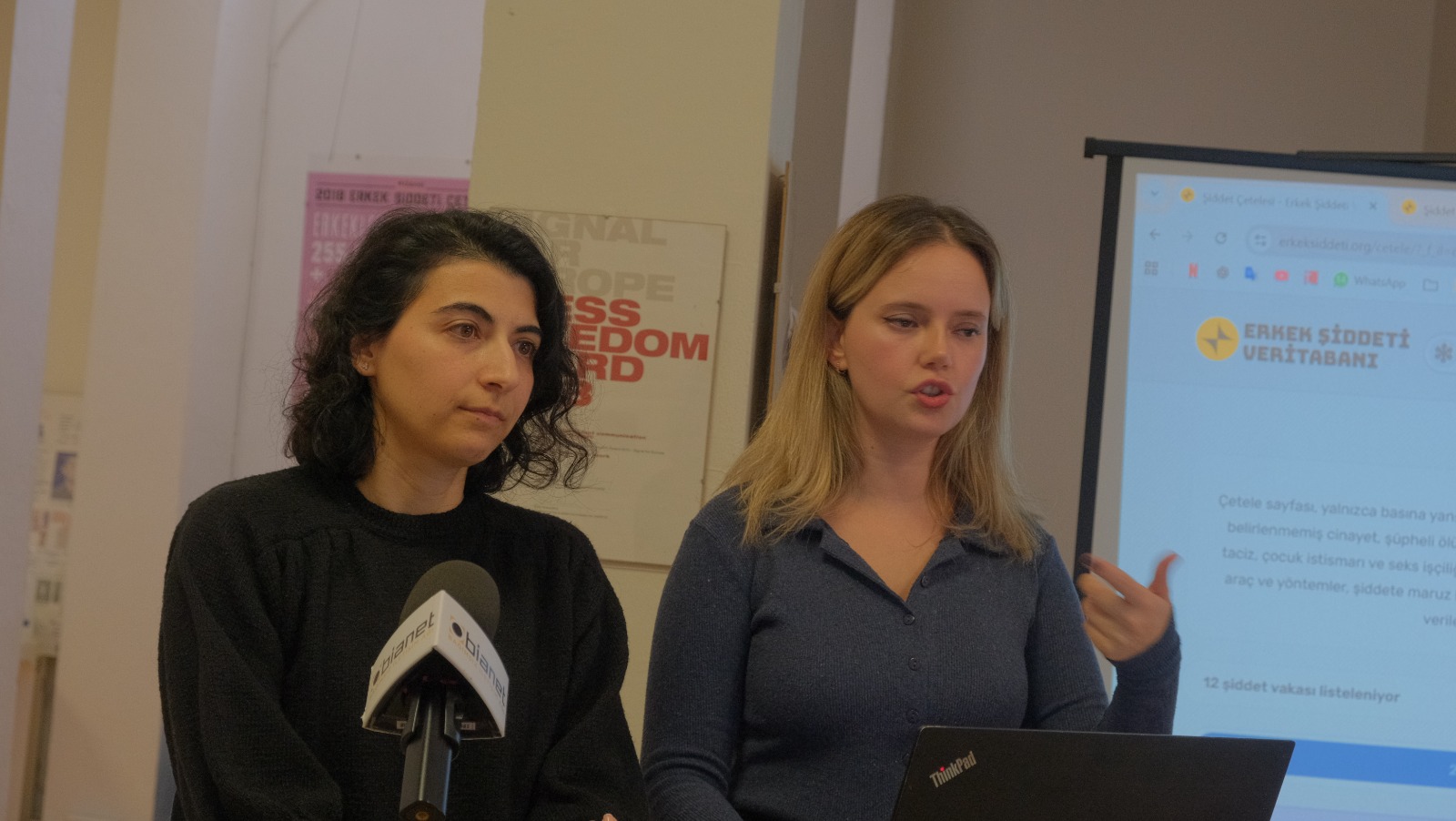 IPS, Erkek Şiddeti Veritabanı’nı erişime açtı