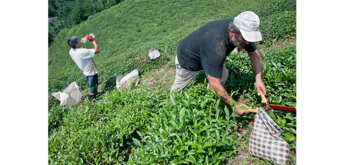 Համշէնական ապրումներ