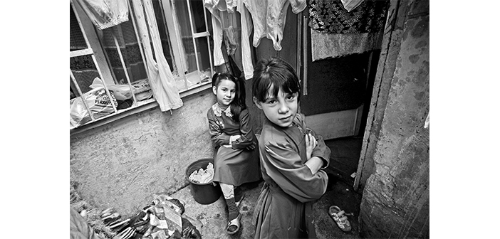 Եթէ Ոսպնեակը Լեզու Ունենար