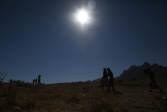 Şengal'den hayata giden bir yol 