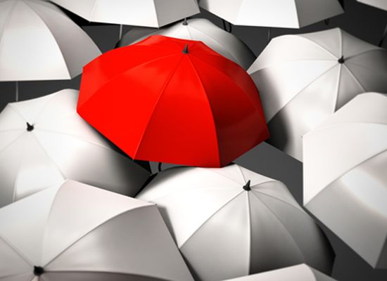 Bireycilik kuramlarının eleştirisi