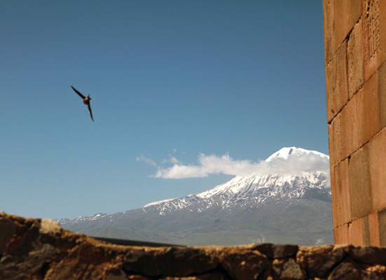 Sivil toplum Türkiye-Ermenistan hattında yeni yollar arıyor  