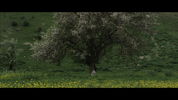 Saroyan Ülkesi’ne zor yolculuk