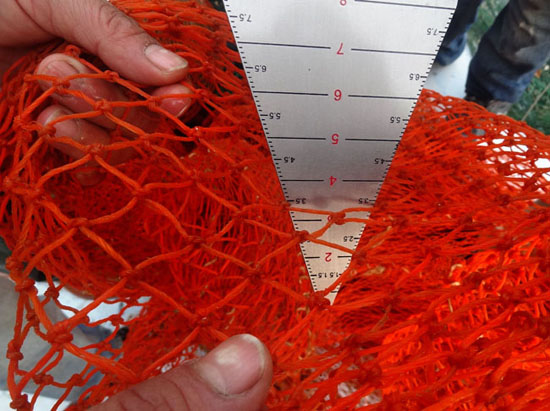 Balıkçılıkta denetim yetmiyor, mevzuat değişmeli  