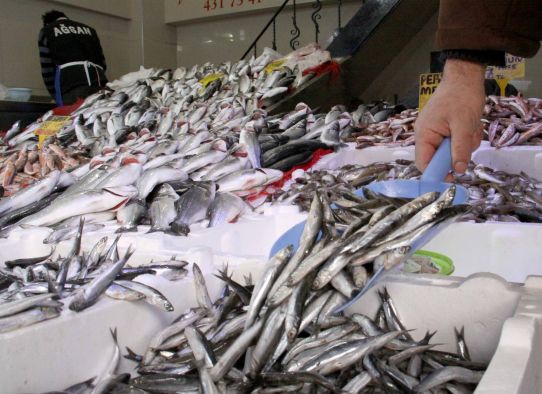 Sürdürülebilir balıkçılık mücadelesinde 2012