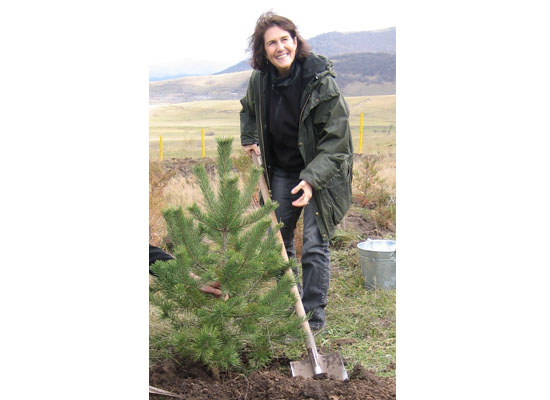 Umut için dikilen ağaçlar 20 yaşında