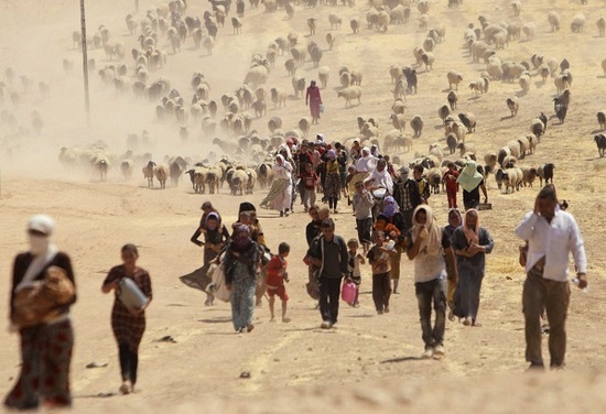 Ermenistan’dan Iraklı Ezidilere yardım eli